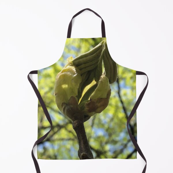 Item preview, Another Unfurling Leaf, REAL photograph designed and sold by GiSilver.