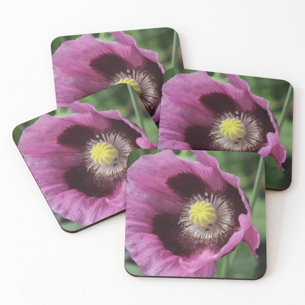 Item preview, Velvet Purple Poppy | Botanical Garden Photography designed and sold by Cha-s-lens.