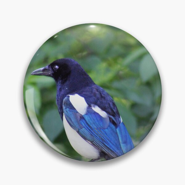 Item preview, Magpie  designed and sold by MFranksPhotos.