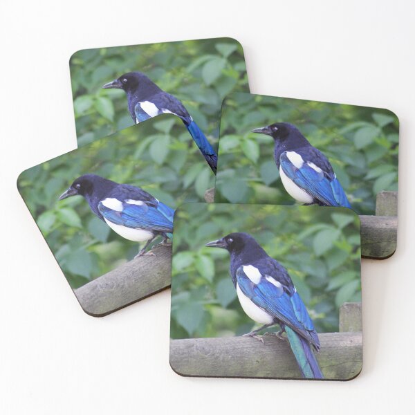 Item preview, Magpie  designed and sold by MFranksPhotos.