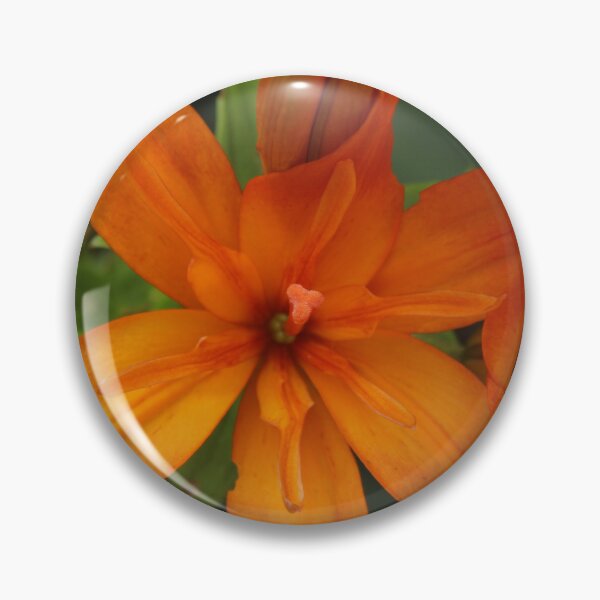 Item preview, Vibrant Orange Lily | Botanical Flower Photography designed and sold by Cha-s-lens.
