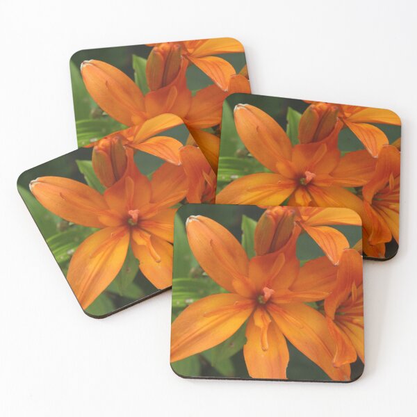 Item preview, Vibrant Orange Lily | Botanical Flower Photography designed and sold by Cha-s-lens.