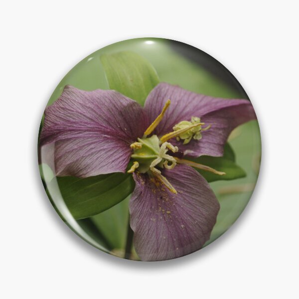 Item preview, Wild Red Trillium designed and sold by Sometimes-store.