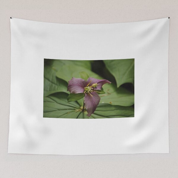 Item preview, Wild Red Trillium designed and sold by Sometimes-store.