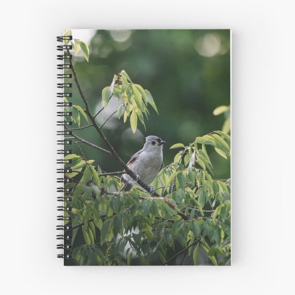 Item preview, Tufted Titmouse Perched on a Branch designed and sold by beewebby.