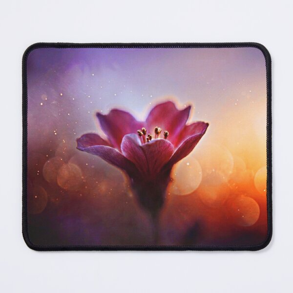 Item preview, Soft Pink Flower at Sunset | Dreamy Floral Wall Art designed and sold by WitchyBotanicaArt.