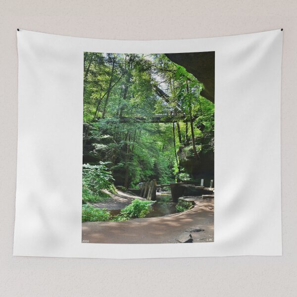 Item preview, Triangle Bridge At Hocking Hills State Park Vertical 2 designed and sold by LisaWootenPhoto.