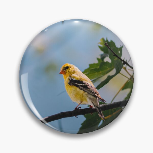 Item preview, American Goldfinch designed and sold by beewebby.