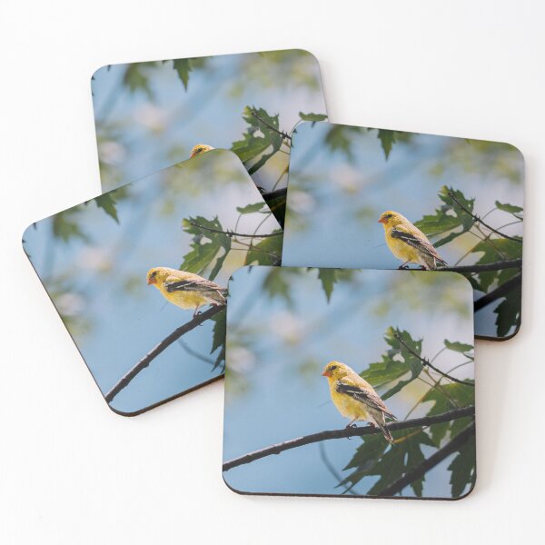 Item preview, American Goldfinch designed and sold by beewebby.