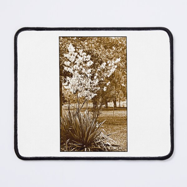 Item preview, Monmouth Beach, New Jersey, September 22, 1915, Harms Cottage, Garden Yucca Plant designed and sold by AMacGPhilly.