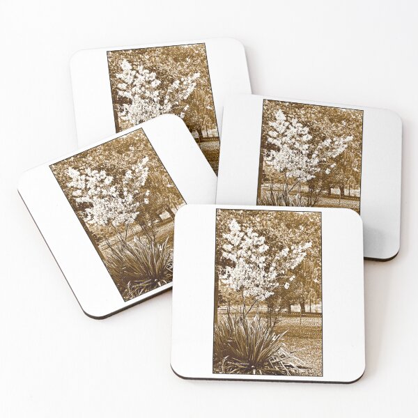 Item preview, Playa de Monmouth, Nueva Jersey, 22 de septiembre de 1915, Harms Cottage, planta de yuca en el jardín. designed and sold by AMacGPhilly.