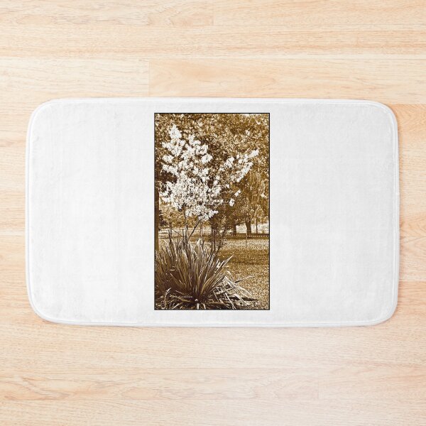 Item preview, Monmouth Beach, New Jersey, September 22, 1915, Harms Cottage, Garden Yucca Plant designed and sold by AMacGPhilly.