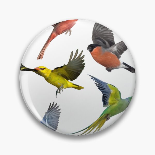 Artikelvorschau, Pride Birds entworfen und verkauft von Lenizou17.