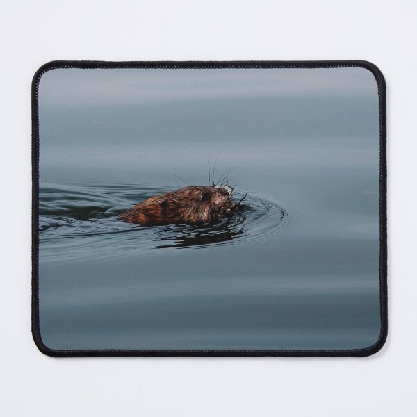 Item preview, The Beaver designed and sold by beewebby.