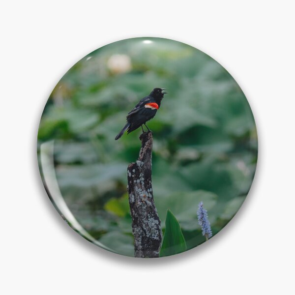 Item preview, Red Winged Blackbird at the Swamp designed and sold by beewebby.