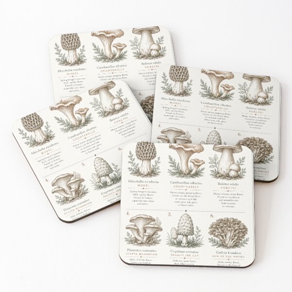 Item preview, Edible Wild Mushrooms Forager's Field Guide designed and sold by ForageKitchen.