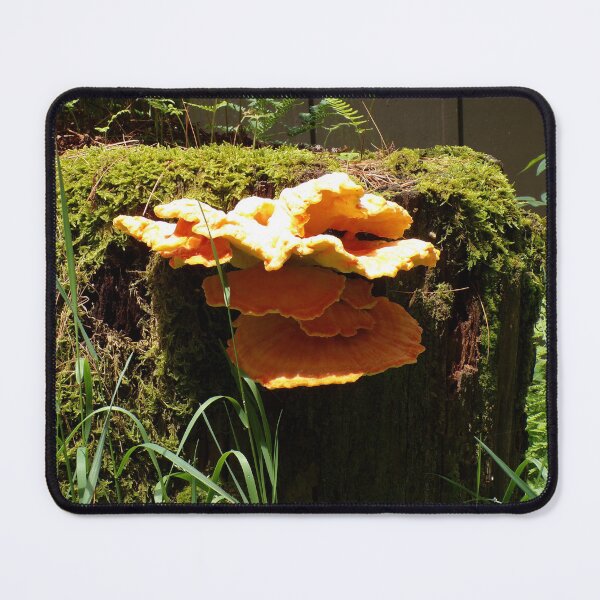 Item preview, Chicken of the Woods designed and sold by SquaresArt.