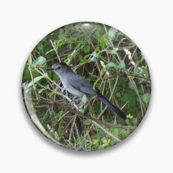 Item preview, Gray Catbird designed and sold by SquaresArt.