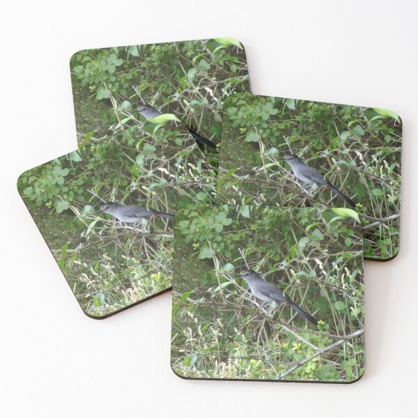 Item preview, Gray Catbird designed and sold by SquaresArt.
