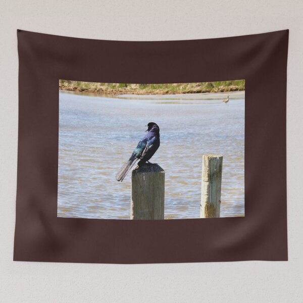 Item preview, Boat-tailed Grackle designed and sold by SquaresArt.
