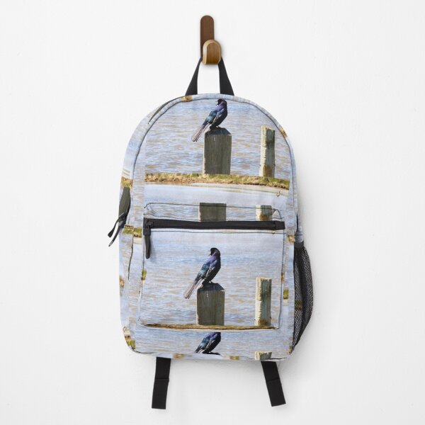 Item preview, Boat-tailed Grackle designed and sold by SquaresArt.