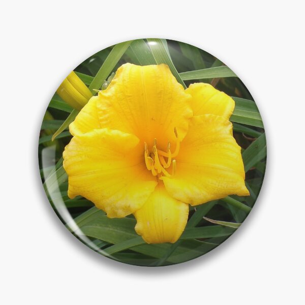 Item preview, Daylily designed and sold by SquaresArt.