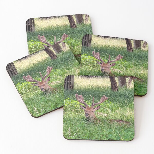 Item preview, Resting Stag in Summer Meadow designed and sold by Miles&Moments.