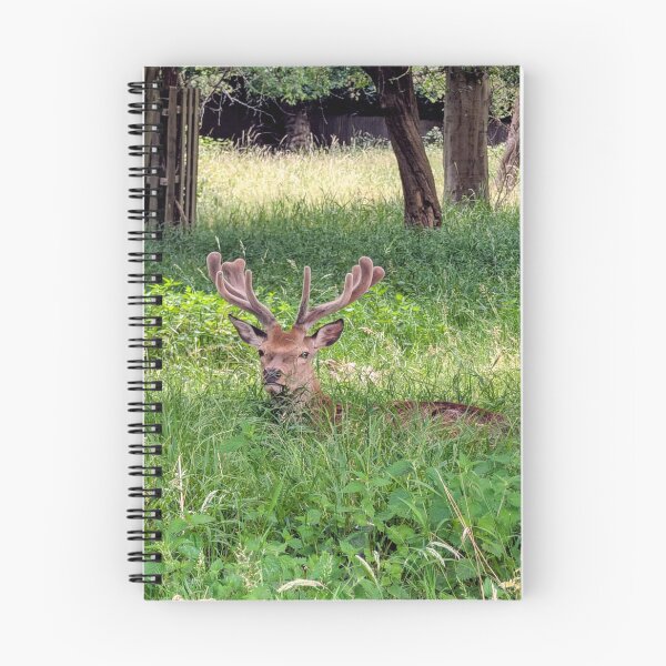 Item preview, Resting Stag in Summer Meadow designed and sold by Miles&Moments.