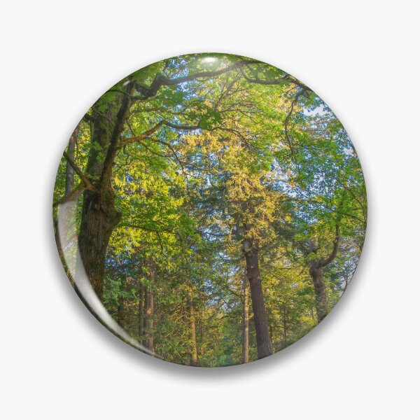 Item preview, Forest Trails  designed and sold by Ernie Steven Dickey.