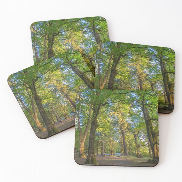 Item preview, Forest Trails  designed and sold by Ernie Steven Dickey.