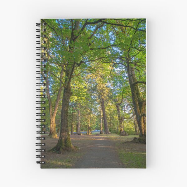 Item preview, Forest Trails  designed and sold by Ernie Steven Dickey.