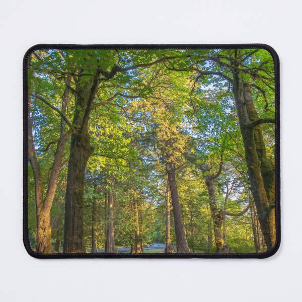 Item preview, Forest Trails  designed and sold by Ernie Steven Dickey.