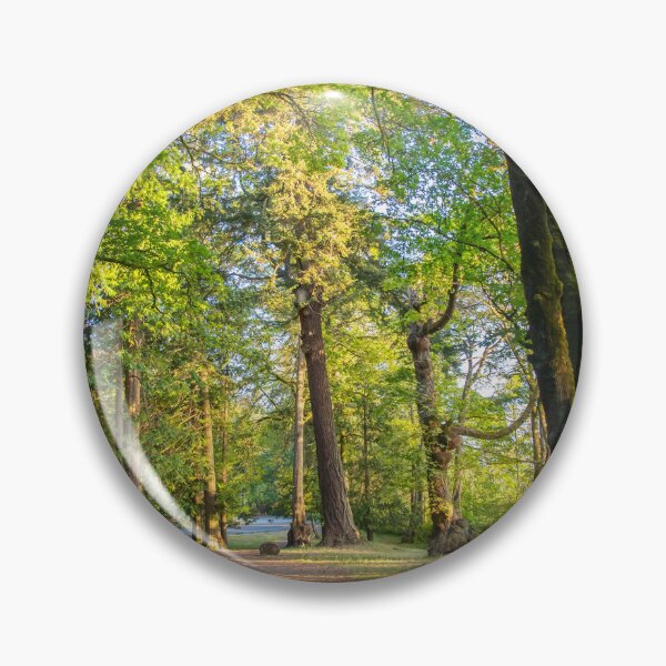Item preview, Forest Trails Thru Vancouver Island  designed and sold by Ernie Steven Dickey.