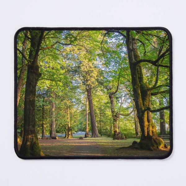 Item preview, Forest Trails Thru Vancouver Island  designed and sold by Ernie Steven Dickey.
