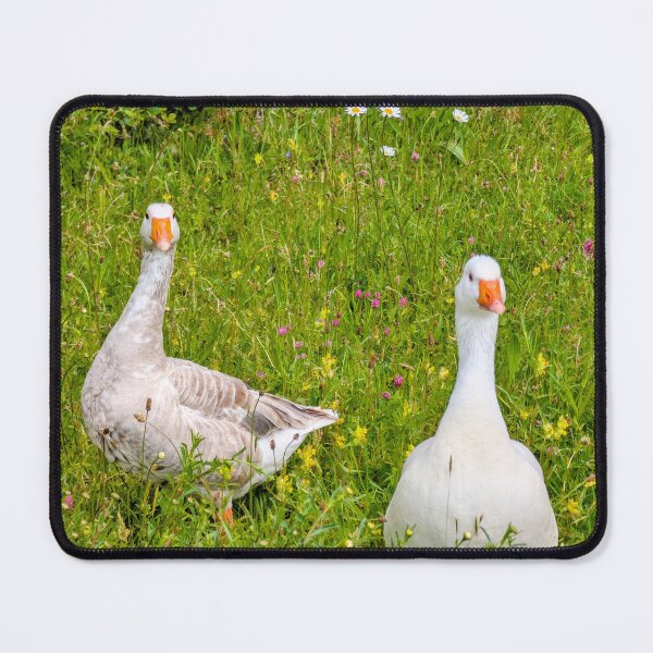 Item preview, Curious Geese in Summer Wildflowers designed and sold by Miles&Moments.