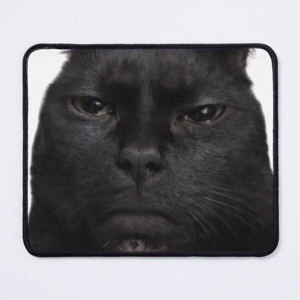 Item preview, Angry Black Cat Staring (Kinda cute) designed and sold by Lghomm.