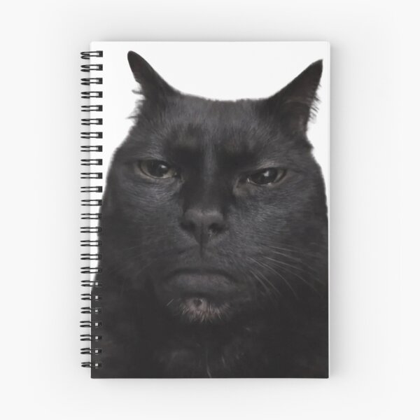 Item preview, Angry Black Cat Staring (Kinda cute) designed and sold by Lghomm.