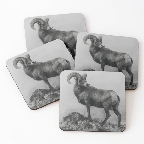 Item preview, Big Horn Sheep designed and sold by Mulz08.