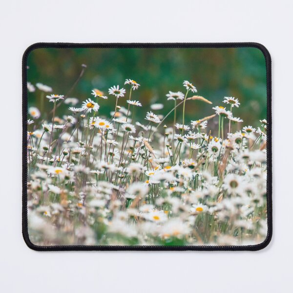Item preview, Land of the Daisy designed and sold by Ernie Steven Dickey.