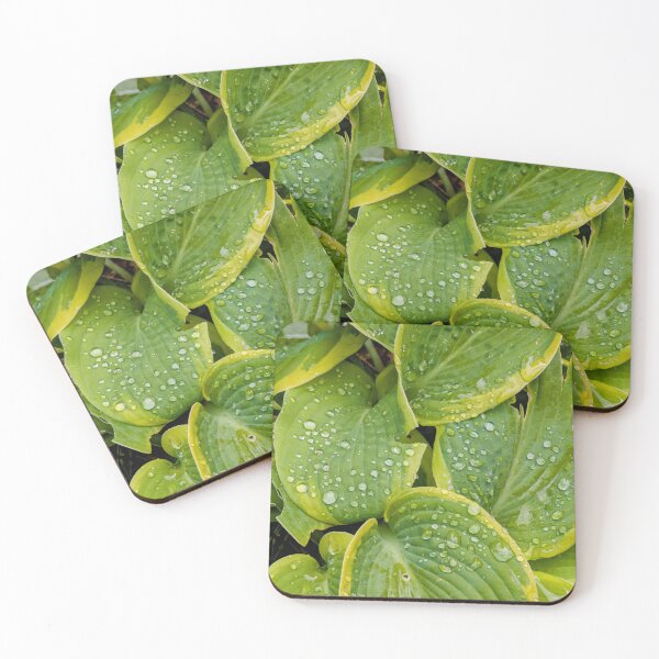 Item preview, Rain Droplets on Green Hosta Leaves designed and sold by Miles&Moments.