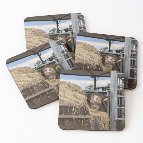 Item preview, Curious Cow Peeking Through the Hay designed and sold by Miles&Moments.
