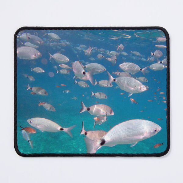 Item preview, Fish in Turquoise Mediterranean Waters designed and sold by Kasia Design.