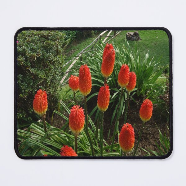 Item preview, Vibrant Torch Lilies Overlooking Dramatic Coastal Cliffs designed and sold by HiddenPlaces.