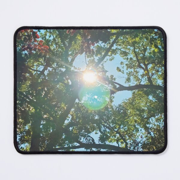 Item preview, Sunlight Through Trees designed and sold by wanderingkayla.