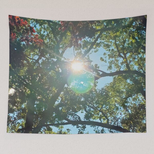 Item preview, Sunlight Through Trees designed and sold by wanderingkayla.