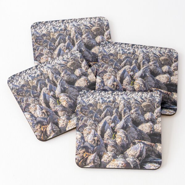 Item preview, Mussel Madness  designed and sold by Ernie Steven Dickey.