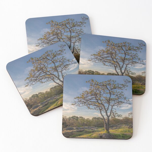 Item preview, One Tree Hill at Sunrise designed and sold by Ernie Steven Dickey.