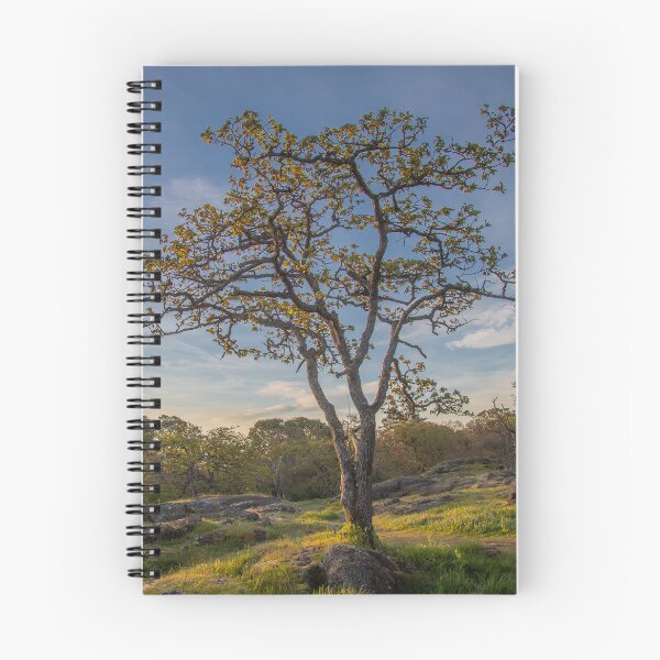 Item preview, One Tree Hill at Sunrise designed and sold by Ernie Steven Dickey.