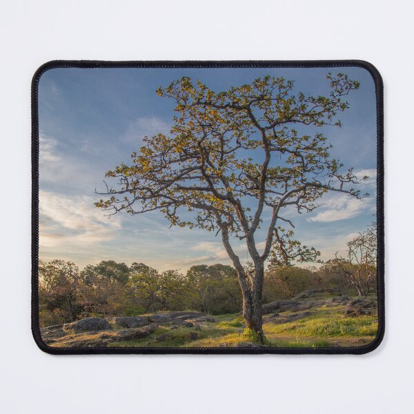 Item preview, One Tree Hill at Sunrise designed and sold by Ernie Steven Dickey.