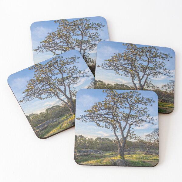 Item preview, One Tree Hill at Sunrise designed and sold by Ernie Steven Dickey.